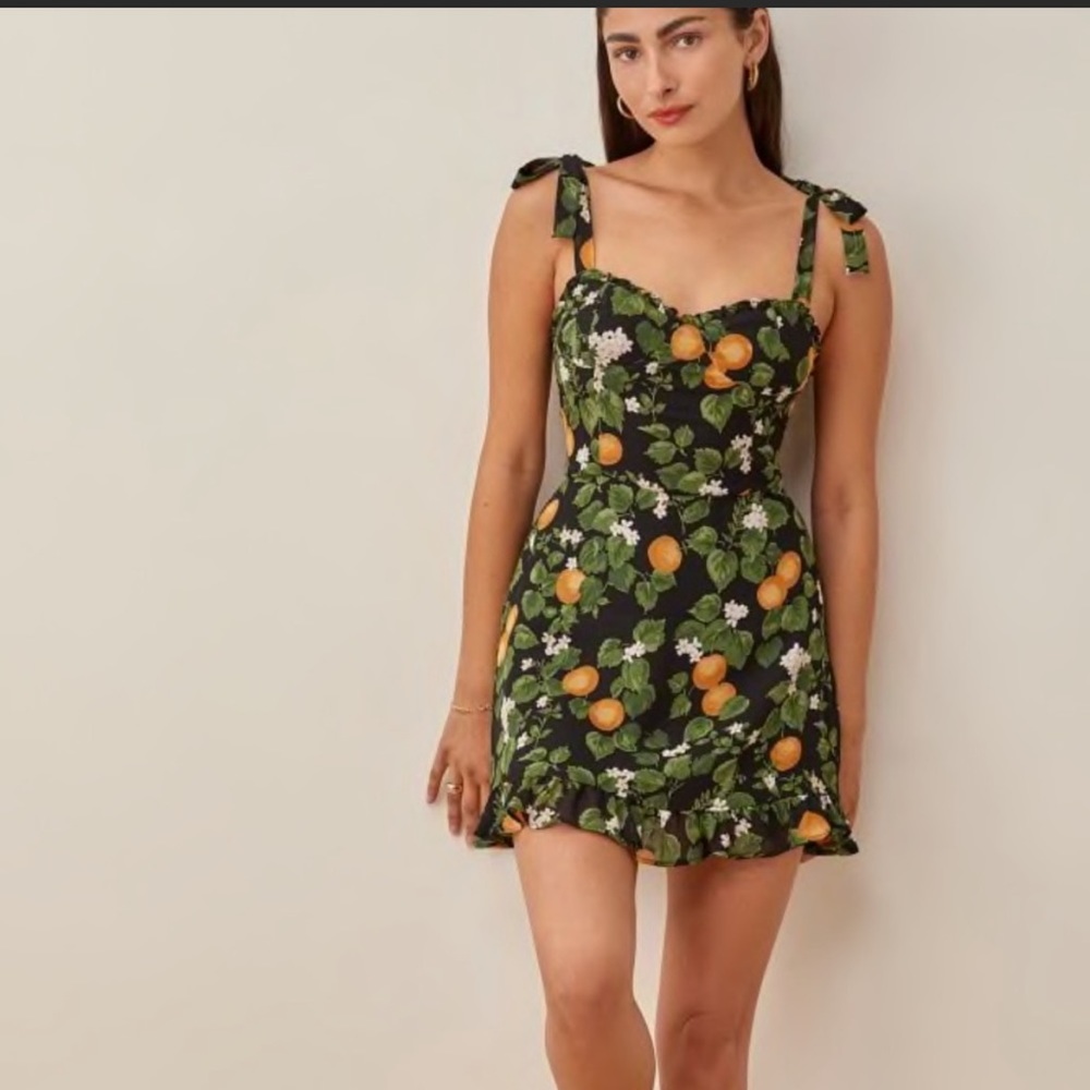 Reformation Christine Dress in Clementine